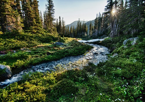 Washington - Olympic National Park